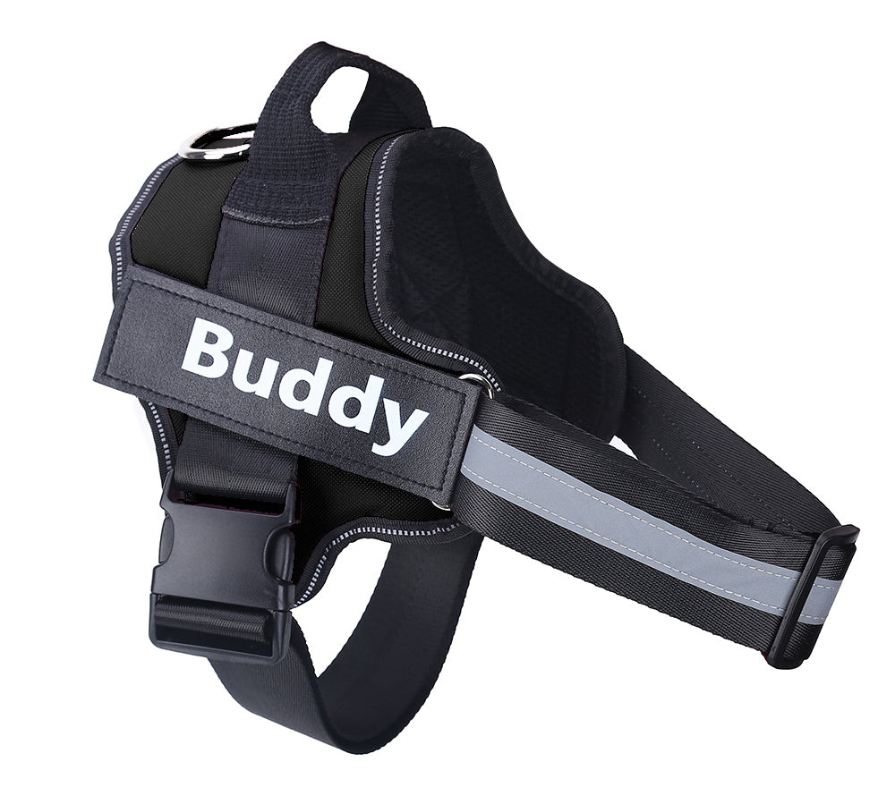 Personalized Dog Harness