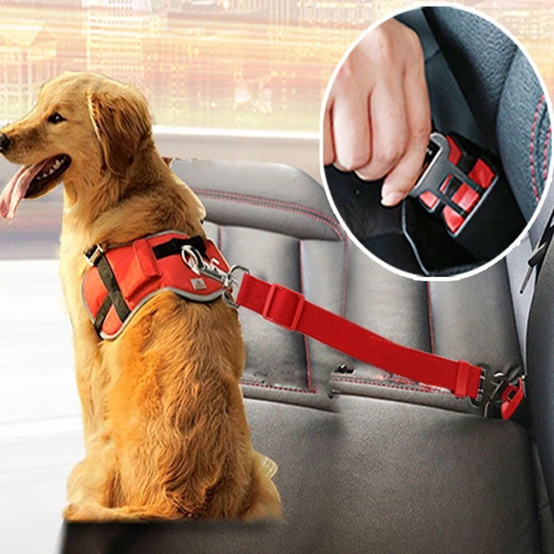 Pet Car Seatbelt