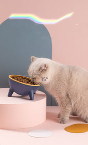 Pet Bowl With Stand