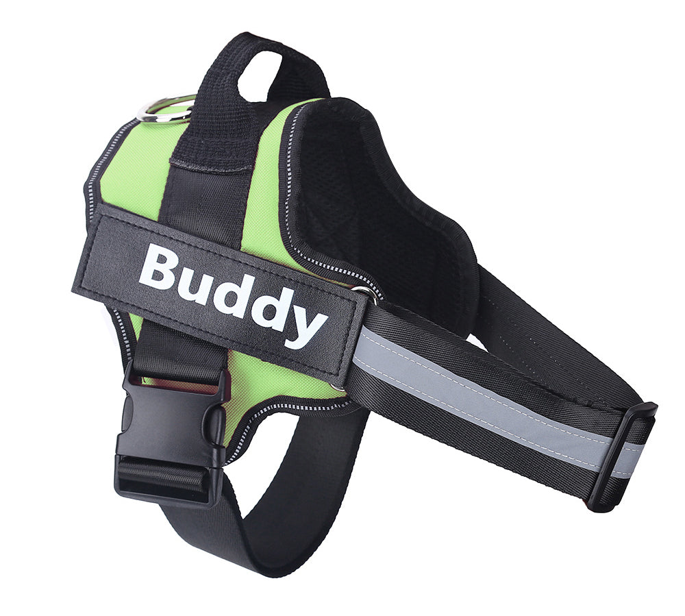 Personalized Dog Harness