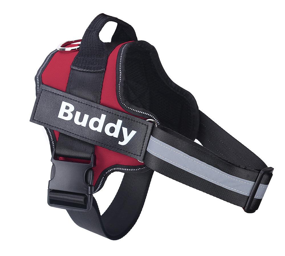 Personalized Dog Harness