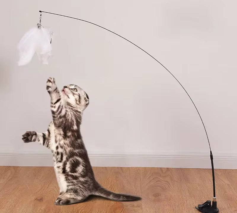 Feather Cat Wand Pet Supplies