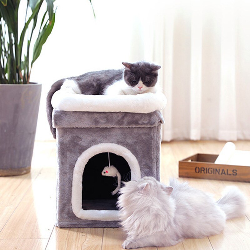 Cat House