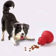 Pet Treat Puzzle