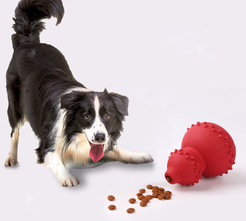 Pet Treat Puzzle