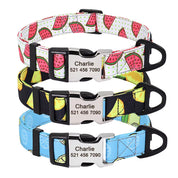 Nylon Print Dog Collar Personalized Pet Cat ID Collars Free Engraving Tag Nameplate for Small Medium Large Dogs Cats Pitbull Pug