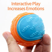 Bite-Resistant Pet Dog Toy Rubber Ball Beef-Flavored Elastic Ball to Prevent Dog from Destroying Things Dog Training Supply