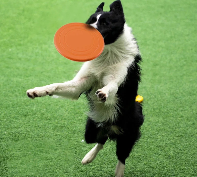 Silicone Flying Saucer Funny Dog Cat Toy Dog Game Flying Discs Resistant Chew Puppy Training Interactive Pet Supplies