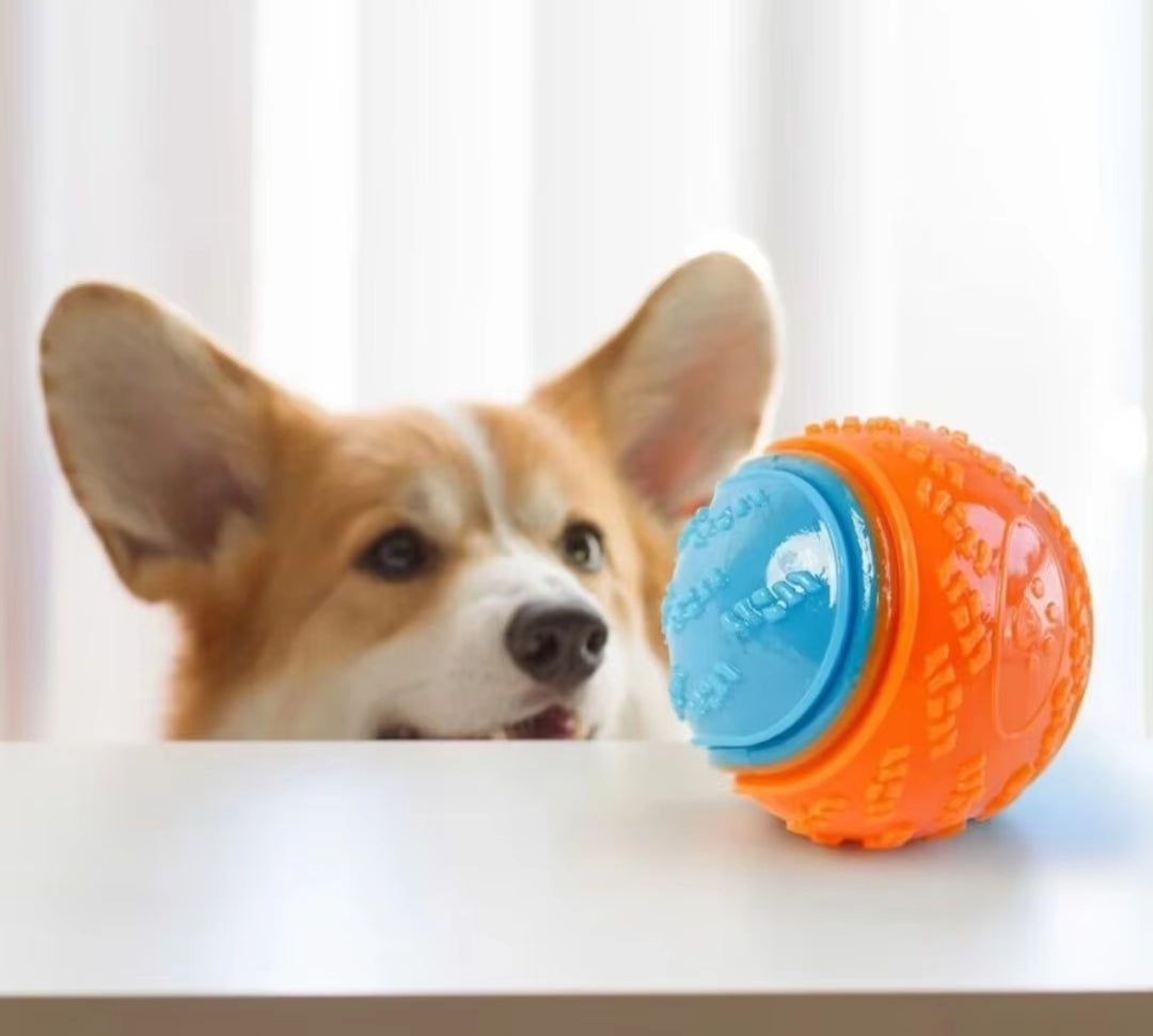 Bite-Resistant Pet Dog Toy Rubber Ball Beef-Flavored Elastic Ball to Prevent Dog from Destroying Things Dog Training Supply